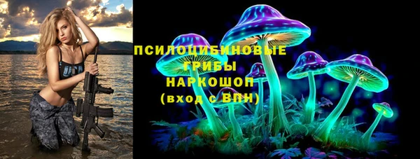прущие грибы Алексин