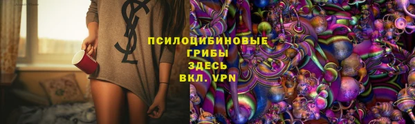 прущие грибы Алексин