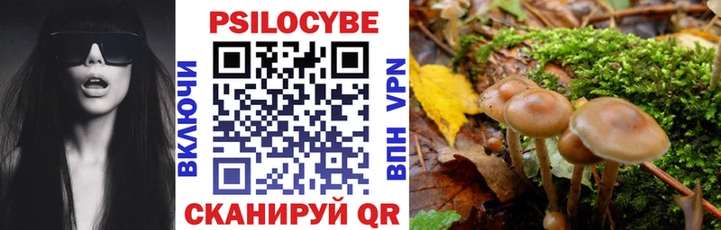 где можно купить наркотик Моздок Галлюциногенные грибы Psilocybine cubensis