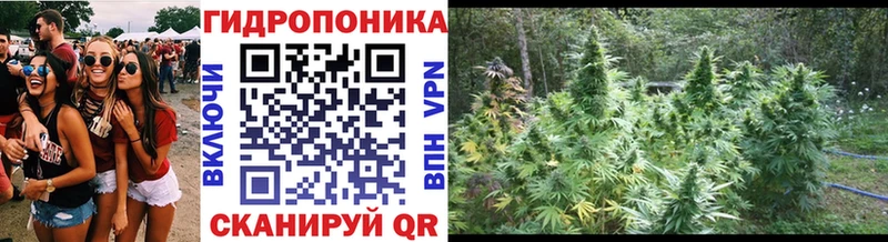 Конопля White Widow  Моздок 